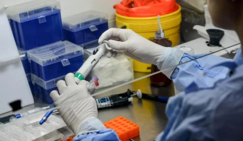 Brasil registra 97 mortes e 7,9 mil novos casos de Covid-19 em 24 horas