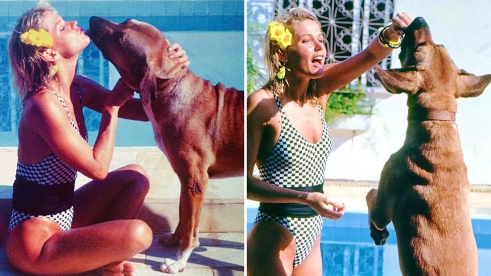 Xuxa posta imagens com famoso companheiro de vida cãozinho Xuxo, que já morreu