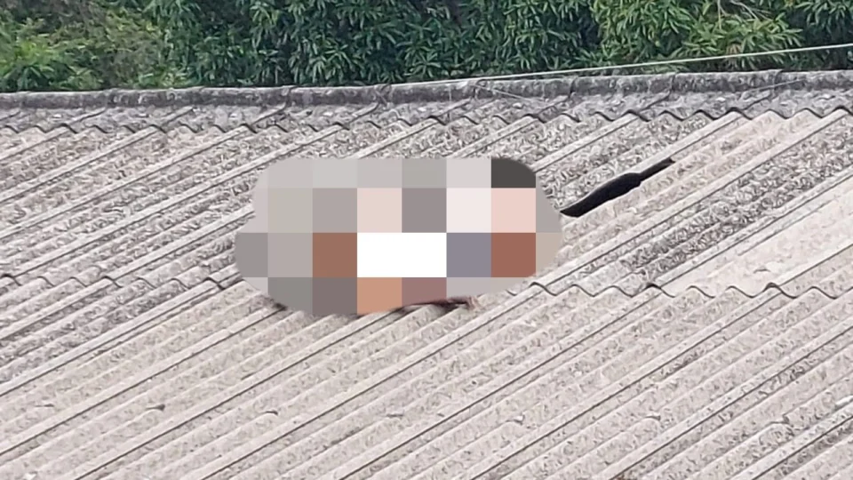 Homem é executado a tiros em cima do telhado de casa no Dom Pedro, em Manaus