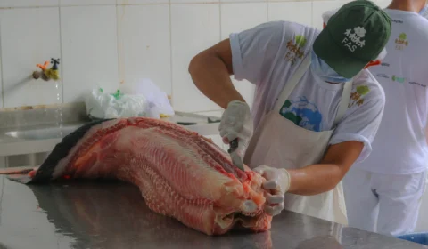 ‘Feira do Pirarucu’ vende pescado a partir de R$ 7 em Manaus; veja tabela