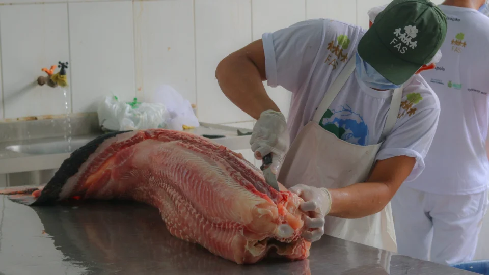 ‘Feira do Pirarucu’ vende pescado a partir de R$ 7 em Manaus; veja tabela