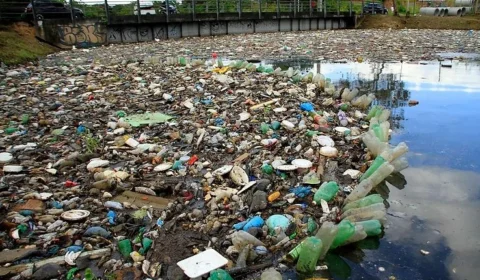 Defensoria propõe à Semulsp cronograma de limpeza dos igarapés de Manaus