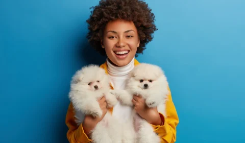 Acariciar animais de estimação faz bem ao cérebro humano, diz estudo