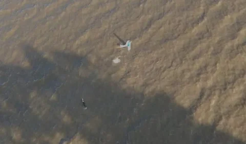 Aeronave com três pessoas cai no Rio Amazonas