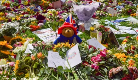 Ursinhos de pelúcia deixados em homenagem à rainha Elizabeth II serão doados