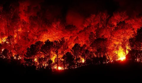 Humanidade testemunha mudanças climáticas entre 2021 e 2022, revela CSI