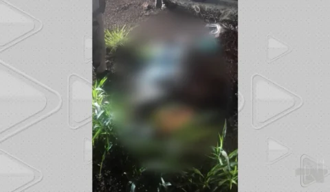 VÍDEO: mulher é encontrada morta em uma área de mata da Zona Sul de Manaus
