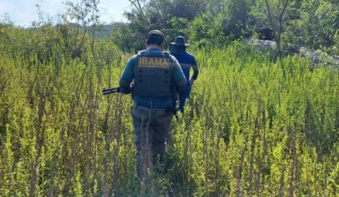 Vale do Javari, no AM, é alvo da Operação Wahanararai contra pesca ilegal