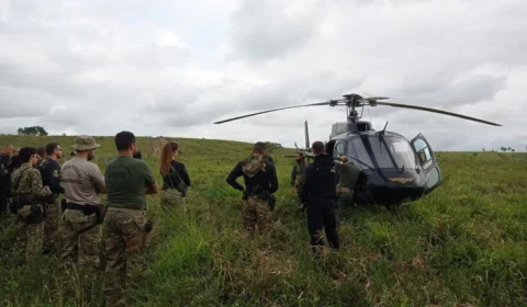 130 mil pés de maconha são destruídos pela PF em terra indígena no Pará