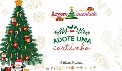 ‘Projeto Árvore Encantada 2022’: adoção de cartinhas de Natal começa no AM