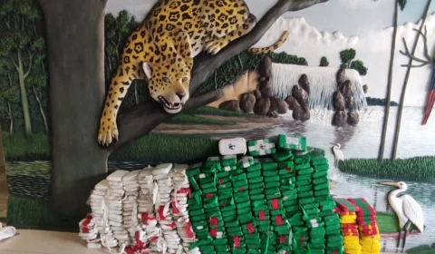 Tráfico de drogas: homem é preso com mais de 300 kg de cocaína em Codajás, no AM