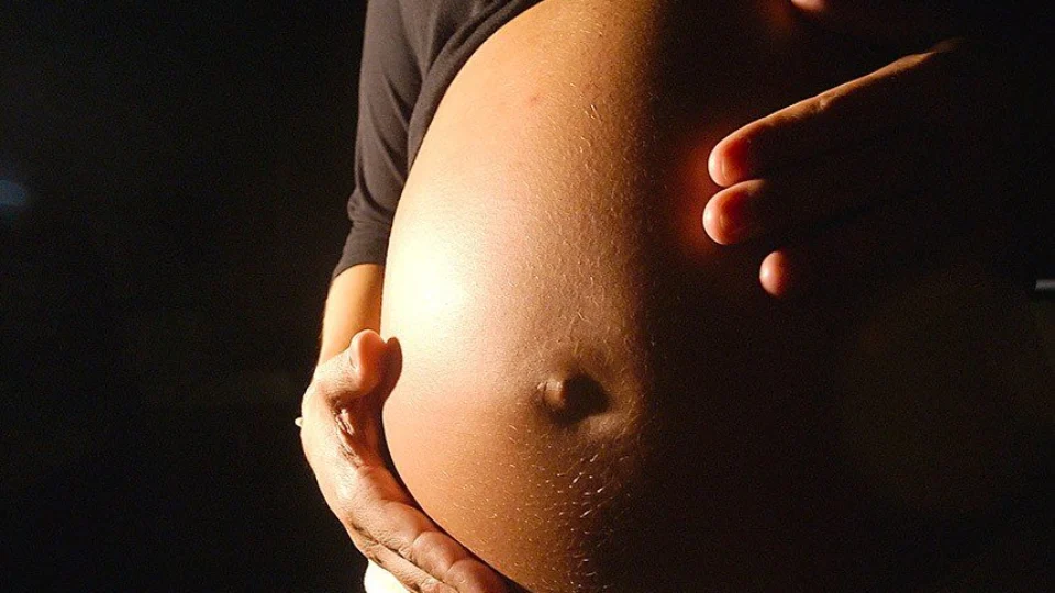 Bebê é morto com 24 facadas pela própria mãe após o parto, em SC