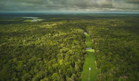 Cúpula da Amazônia sem metas reais é vista negativamente por ambientalistas
