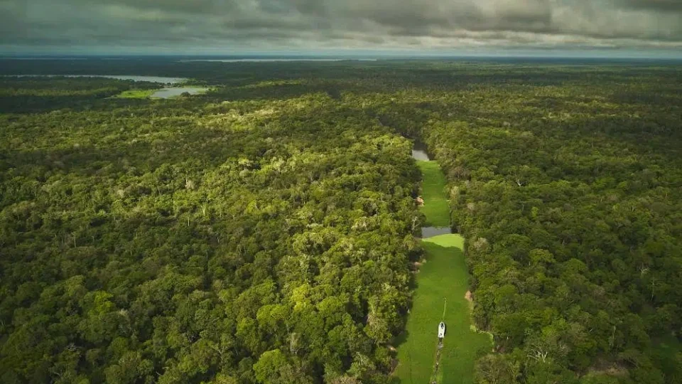 Cúpula da Amazônia sem metas reais é vista negativamente por ambientalistas