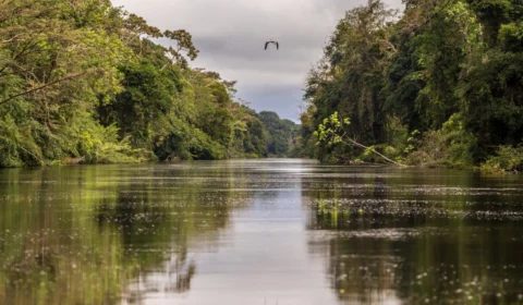 No AM, 3ª chamada para agentes de serviços ambientais termina segunda, 28
