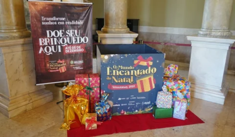 Campanha arrecada brinquedos para crianças no AM até segunda, 5