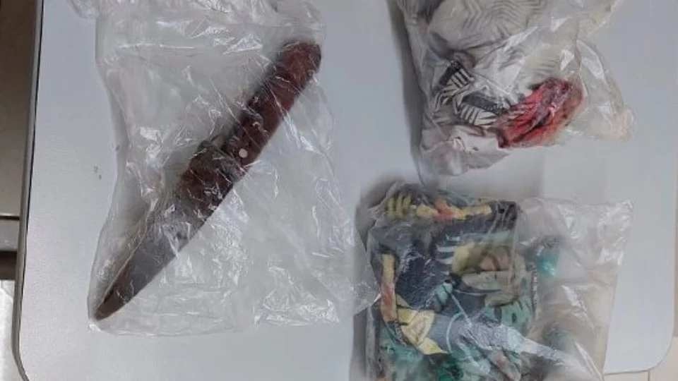 Jovem é presa suspeita de tentar matar casal de idosos a facadas no Amazonas