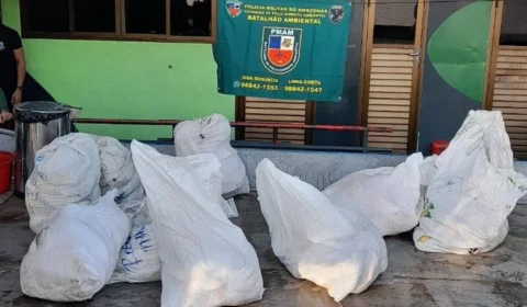 Polícia apreende 600 kg pescado ilegal e carne de quelônio em Coari-AM