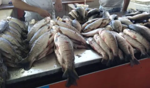 Urina preta: Amazonas tem 103 casos confirmados de rabdomiólise