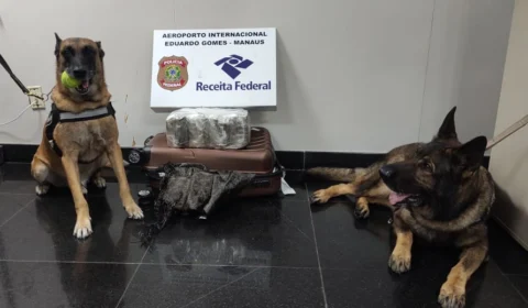Agentes caninos encontram 14kg de drogas dentro de malas em Manaus
