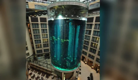 Vídeo: aquário com 1,5 mil peixes explode dentro de hotel na Alemanha