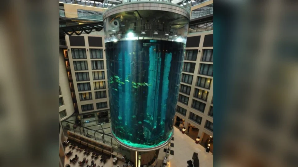 Vídeo: aquário com 1,5 mil peixes explode dentro de hotel na Alemanha