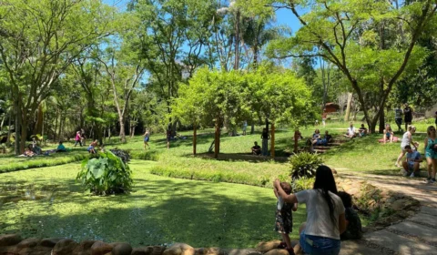 Bauru: confira quatro pontos turísticos para passear com a família