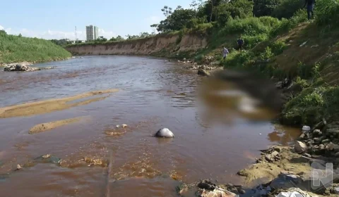 VÍDEO: corpo enrolado em saco plástico é encontrado em igarapé de Manaus 
