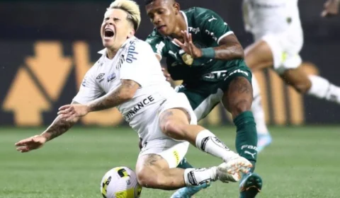 Volante do Palmeiras Danilo é julgado no pleno do STJD e tem suspensão reduzida
