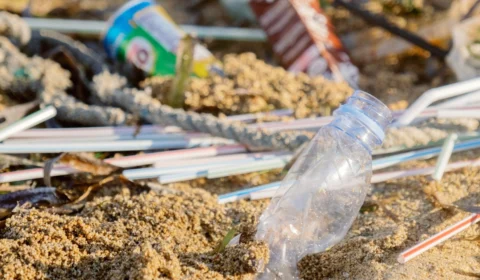 De tudo o que a humanidade produz, 91% vira lixo, aponta pesquisa