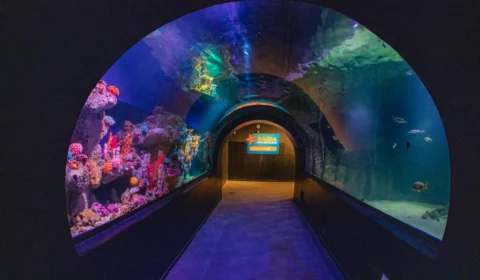 Confira pontos turísticos de Balneário Camboriú para visitar em SC