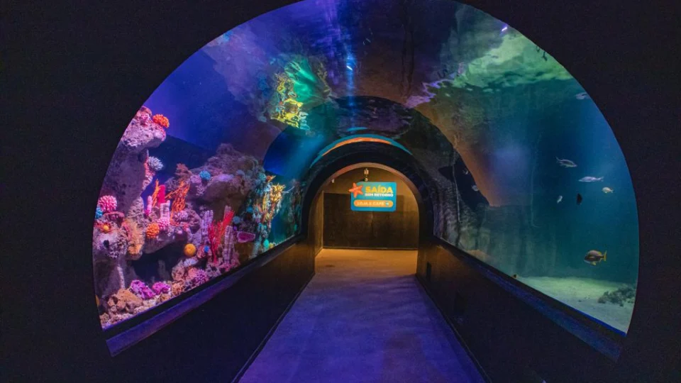 Confira pontos turísticos de Balneário Camboriú para visitar em SC