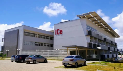 Anvisa autoriza cultivo de cannabis para pesquisa científica no RN