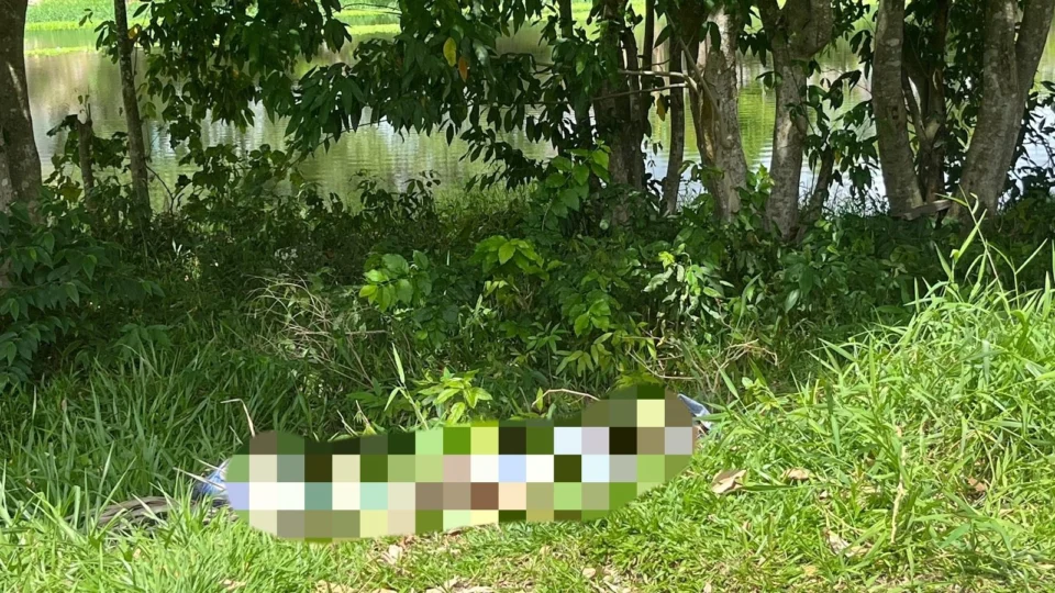 Corpo com marcas de tiro é encontrado em área de mata do Tarumã, em Manaus