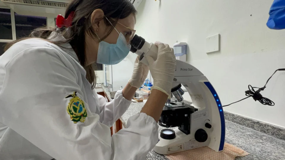 AM registra 230 casos de esporotricose em 2022; doença pode afetar pulmões