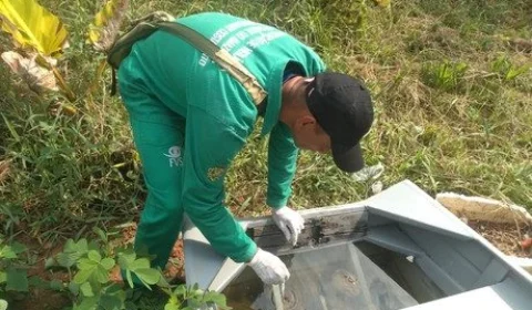 Boletim Dengue: quinta-feira (12) registra 167 novos casos e três mortes no AM