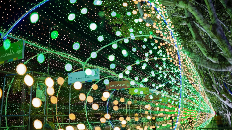 Enquete consulta público sobre atrativo natalino com ‘neve’ em Manaus