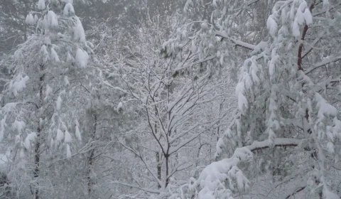 Tempestade de inverno faz Biden declarar emergência em Nova York, nos EUA