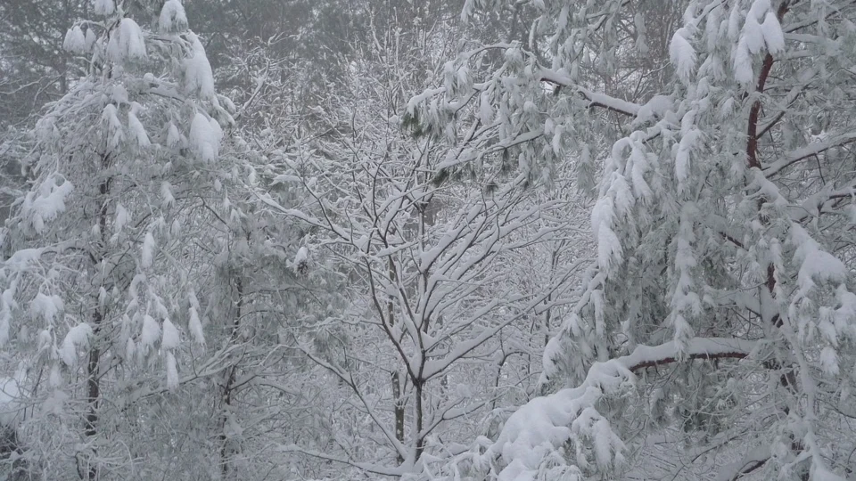 Tempestade de inverno faz Biden declarar emergência em Nova York, nos EUA