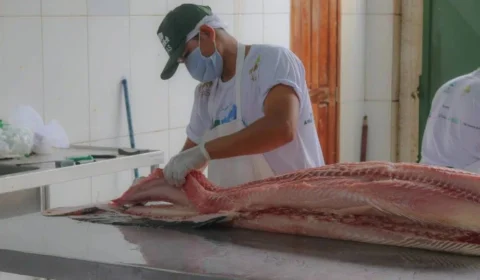 Feira do Pirarucu e Tambaqui terá 7,5 toneladas de peixes à venda em Manaus