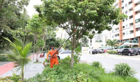 Passeio do Mindu recebe poda de árvores na Zona Centro-Sul de Manaus