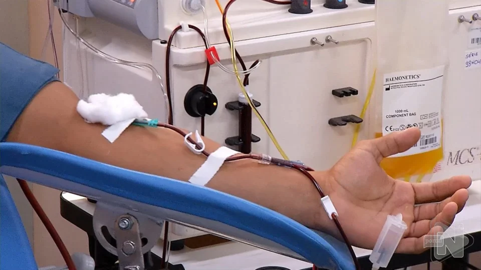VÍDEO: Amazonas ocupa o quarto lugar no ranking para doação de medula óssea