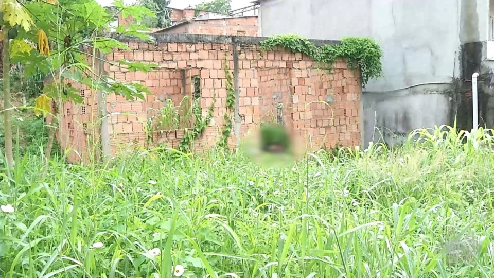 VÍDEO: polícia encontra corpo com marcas de perfurações de faca em Manaus