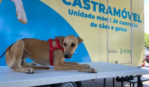 Castramóvel atende nesta semana em Shopping na Zona Leste de Manaus
