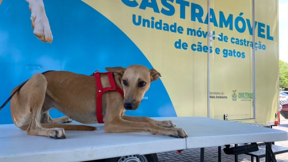 Castramóvel atende nesta semana em Shopping na Zona Leste de Manaus
