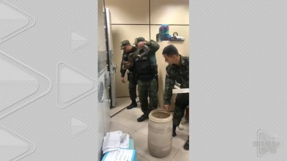 Vídeo: cobra é encontrada embaixo de armário de secretaria em Belém, no Pará