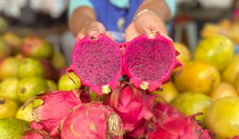 Feiras da ADS: frutas exóticas destacam-se em safra de janeiro no Amazonas