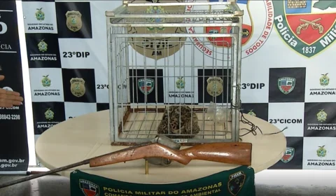 Suspeito de matar onça-pintada e vender filhote por R$ 20 mil é preso em Manaus