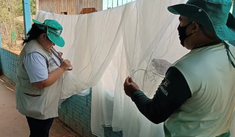 AM teve mais de 50 mil casos de malária em 2022, menor número em 4 anos