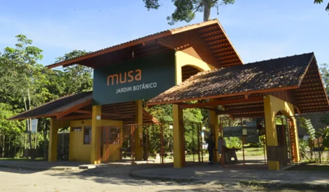 Musa faz promoção com entrada a partir de R$ 10 em Manaus